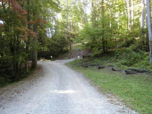 2 RHODODENDRON DR, TOPTON, NC 28781 - Image 1