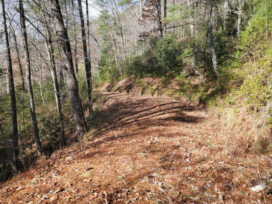LOT 24 CLIFF VIEW DRIVE, FRANKLIN, NC 28734, photo 3 of 4