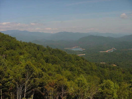 LOT 64 CLOUDLINE DR, ALMOND, NC 28702, photo 2 of 9