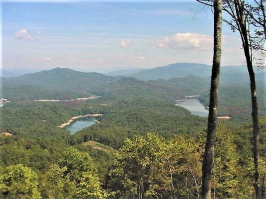 LOT 64 CLOUDLINE DR, ALMOND, NC 28702, photo 3 of 9
