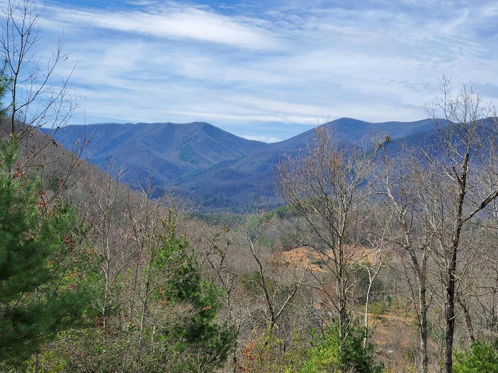 7 SEQUOYAH VIEW TRL, FRANKLIN, NC 28734, photo 1 of 9