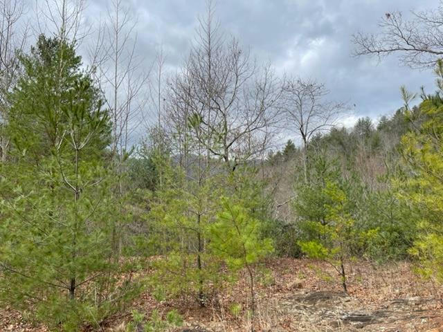 TRACT 1 LULLWATER RANCH ACRES, FRANKLIN, NC 28734, photo 1 of 7