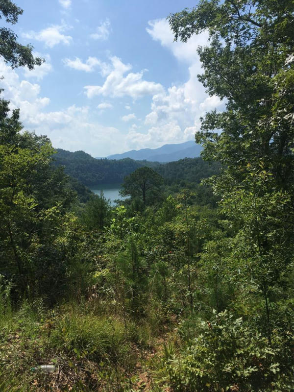 LOT 1A LAUREL CREEK - ROUND HILL RD, BRYSON CITY, NC 28713, photo 1 of 4