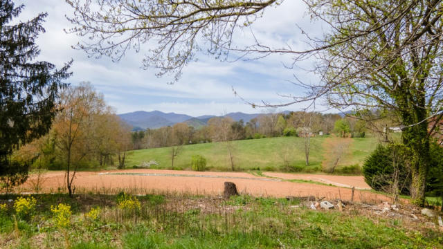 98 LOWER GLADY FORK RD, ASHEVILLE, NC 28715, photo 2 of 35