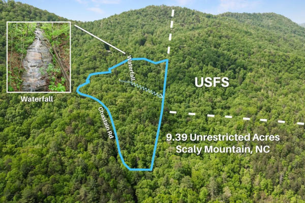 901 CHASTAIN RD, SCALY MOUNTAIN, NC 28775 - Image 1