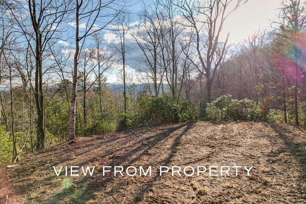 LT 38/39 BUCK MOUNTAIN ROAD, FRANKLIN, NC 28734, photo 1 of 21