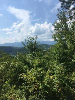 LOT 1A LAUREL CREEK - ROUND HILL RD, BRYSON CITY, NC 28713, photo 2 of 4