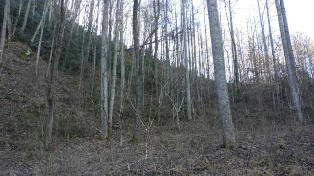 LOT 16 RED HAWK BLUFF, DILLSBORO, NC 28725 - Image 1