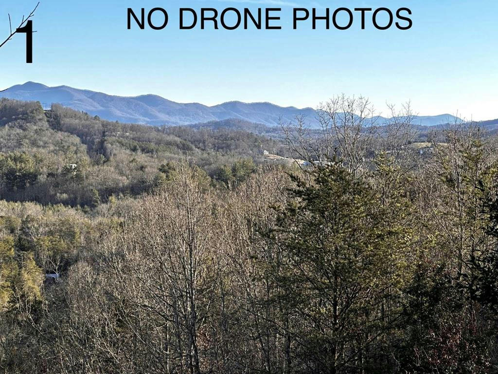 30 RED OAK RD, FRANKLIN, NC 28734, photo 1 of 24