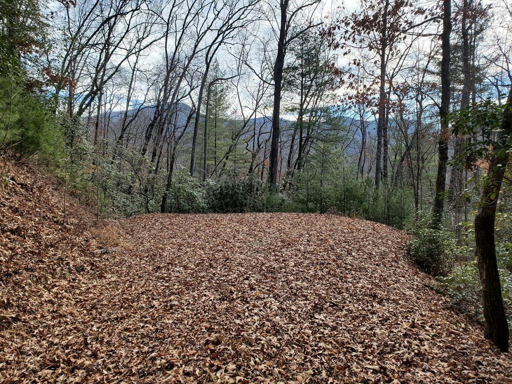 LOT 24 CLIFF VIEW DRIVE, FRANKLIN, NC 28734, photo 1 of 4