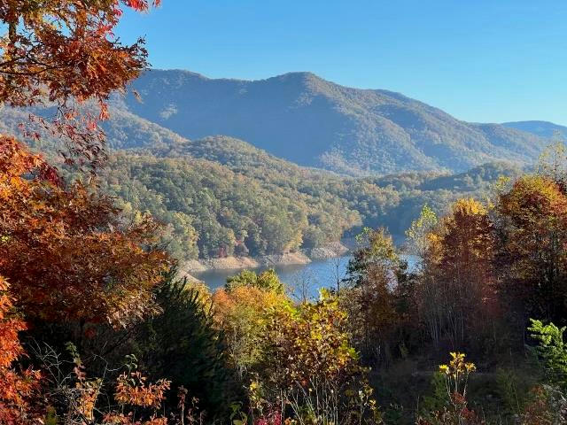 LOT 6&6A BAILEY FIELDS ROAD, ROBBINSVILLE (GRAHAM), NC 28771, photo 1 of 14
