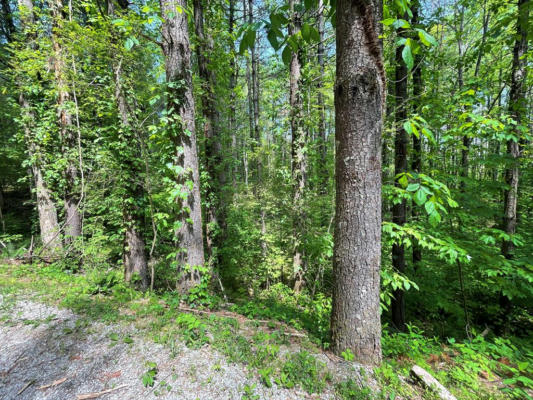 LOT 2 MOUNTAIN MEADOWS RD, FRANKLIN, NC 28734 - Image 1