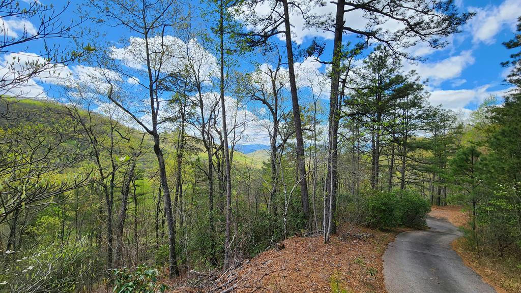 0 PINEVIEW RD/OFF RD 1346, FRANKLIN, NC 28734, photo 1 of 20