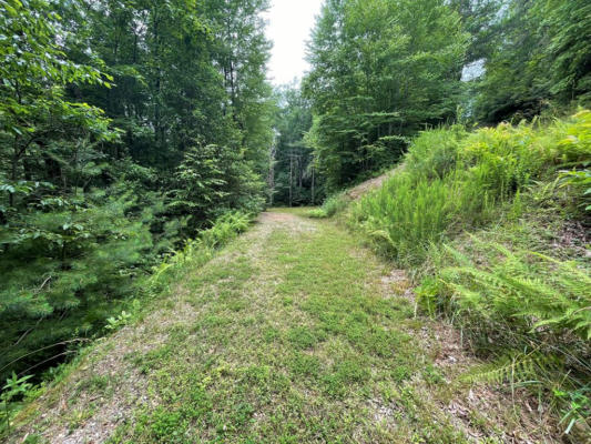 LOT 35 MYSTIC FOREST WAY, TOPTON, NC 28713 - Image 1