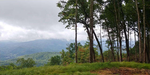 LOT 50 VALLEY OVERLOOK TRAIL, BRYSON CITY, NC 28713, photo 2 of 8