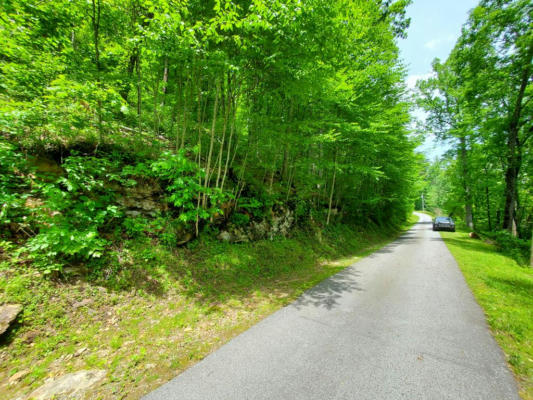 14 S WOODS MOUNTAIN TRL, CULLOWHEE, NC 28723 - Image 1